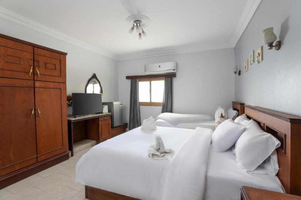 Pyramids Lights Hotel Κάιρο Εξωτερικό φωτογραφία