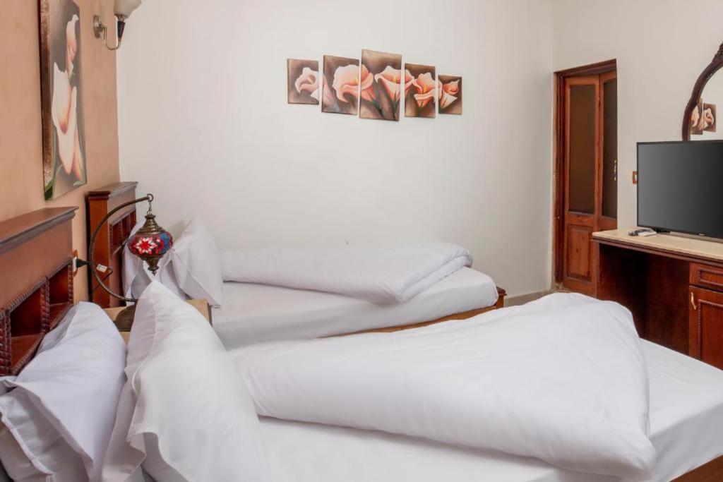 Pyramids Lights Hotel Κάιρο Εξωτερικό φωτογραφία